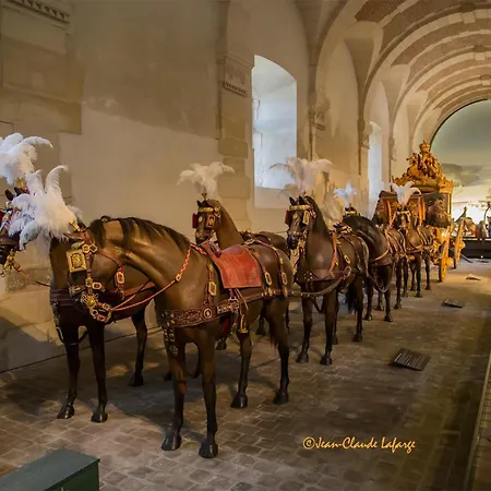 アパート En Duplex A 200 Metres Du Chateau De Versailles! ベルサイユ